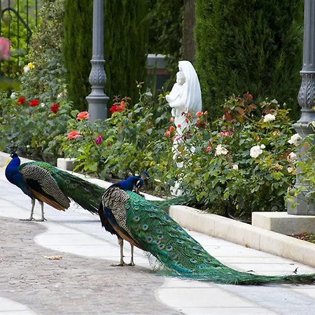 Hotel Panazza 3*